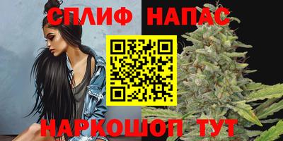 a pvp Сланцы