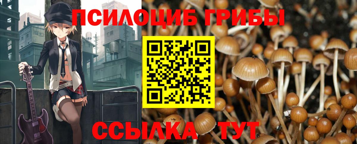 Псилоцибиновые грибы GOLDEN TEACHER Похвистнево
